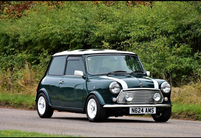 ROVER MINI